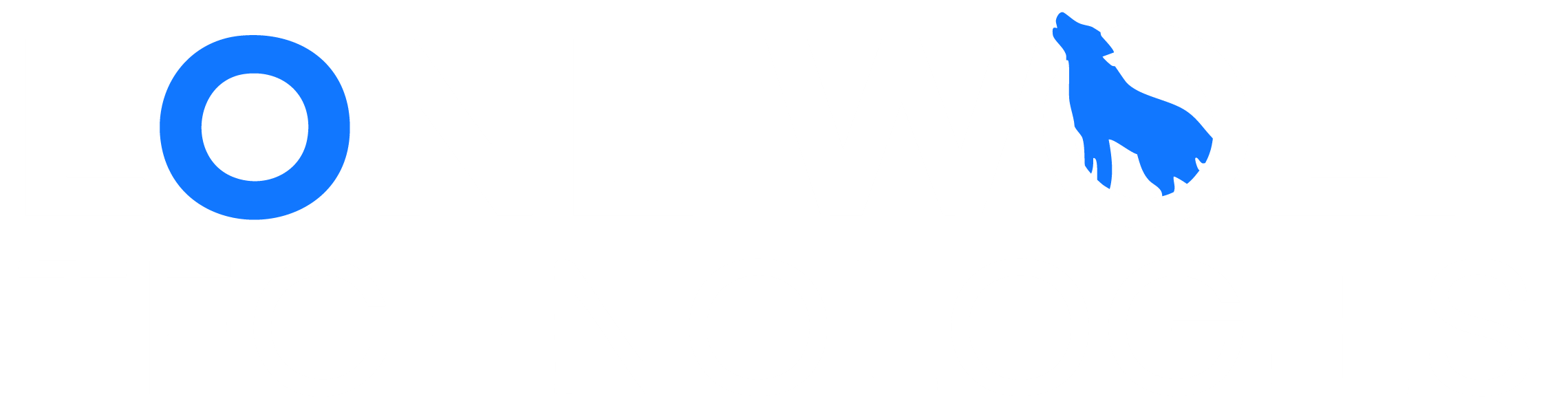 Lone Wolf Technologies logo